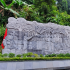 Rừng Trần Hưng Đạo