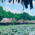 Trằm Trà Lộc