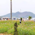 Khu du lịch Hòn Mát