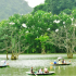 Khu sinh thái Cồn Chim