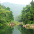 Rừng nguyên sinh Khe Rỗ