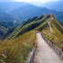 Sống Lưng Khủng Long