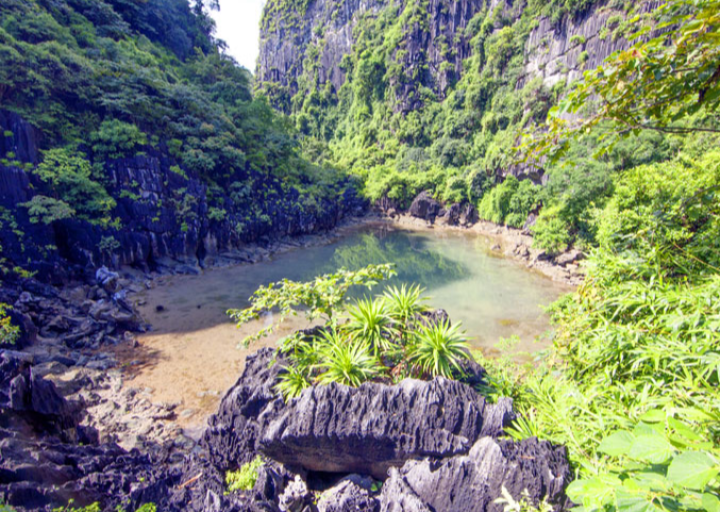 Hồ Động Tiên