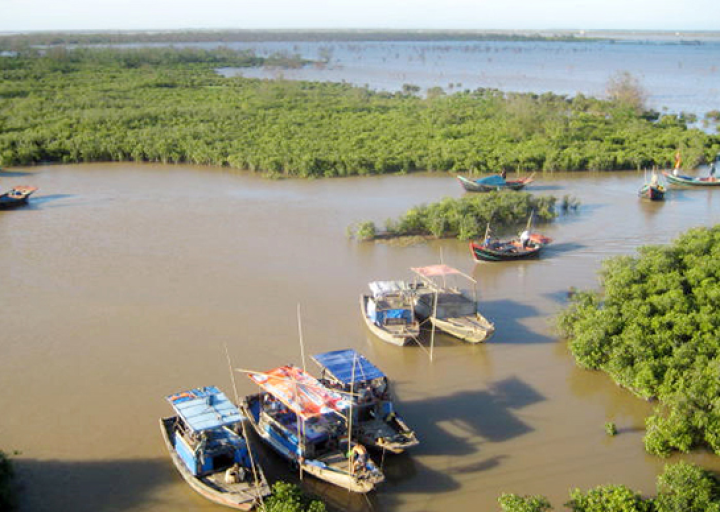 Vườn quốc gia Xuân Thuỷ