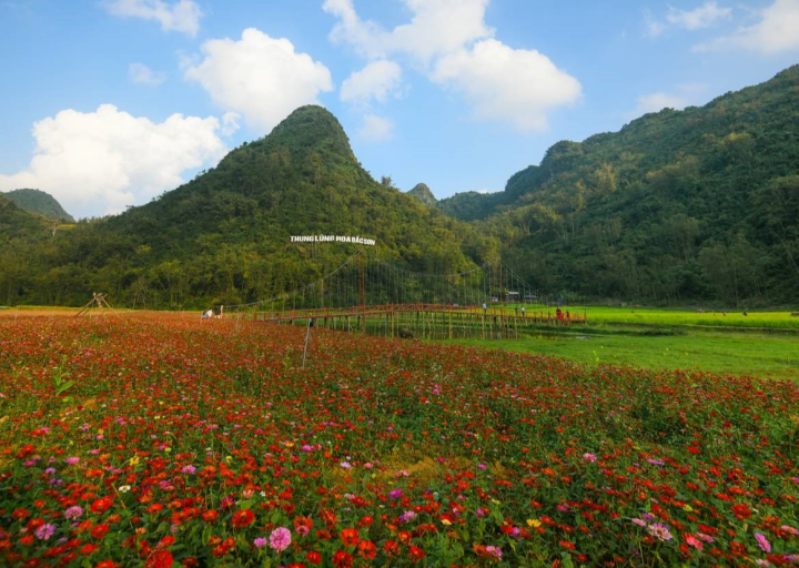 Thung lũng hoa Bắc Sơn