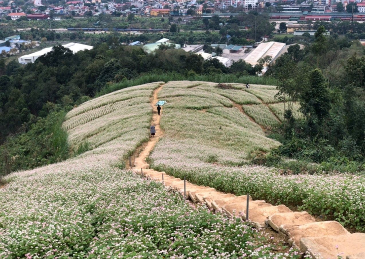 Khu dã ngoại Đồi Gió 