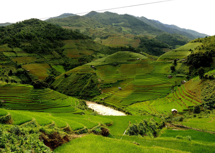 Ruộng bậc thang xã Zế Xu Phình