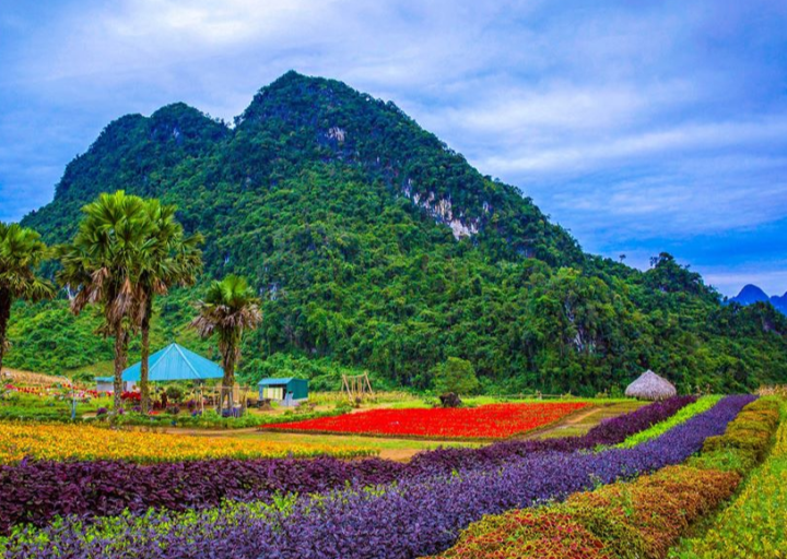 Bình nguyên xanh Khai Trung