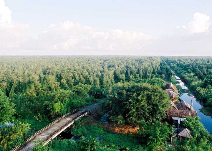 Vườn Quốc Gia U Minh Hạ