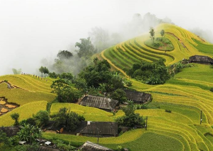 Ruộng bậc thang Bản Phùng