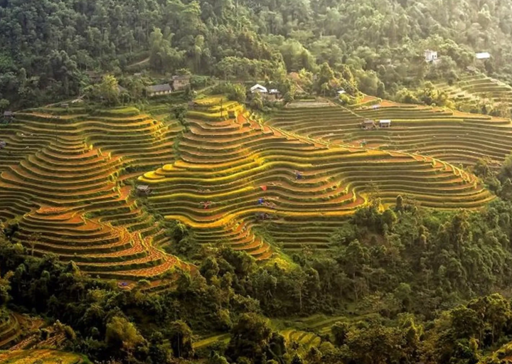 Ruộng bậc thang Nậm Ty