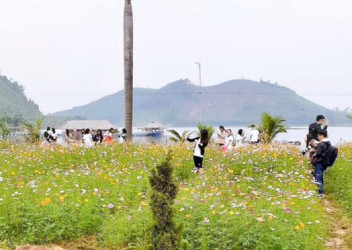 Khu du lịch Hòn Mát