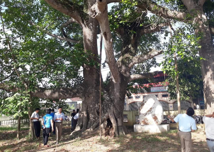 Hang Rú Ẩm và Cây đa làng trù