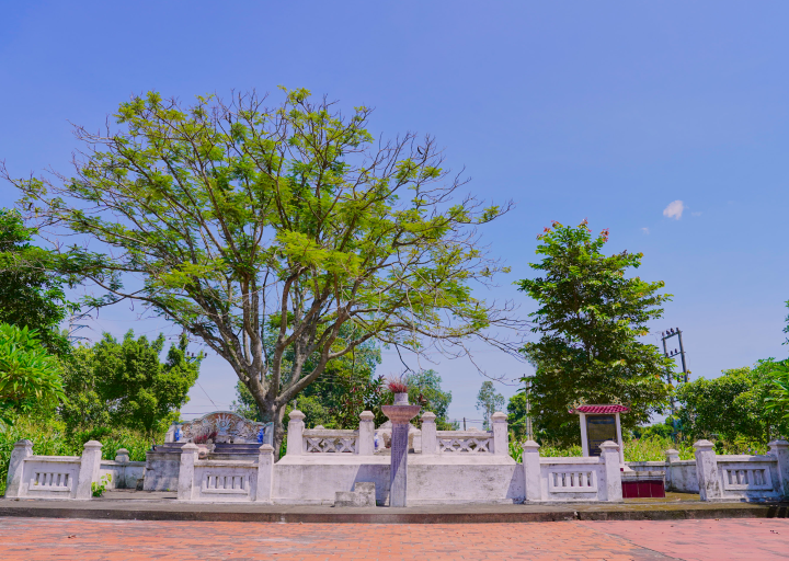 Đình Trung Cần và mộ Tống Tất Thắng