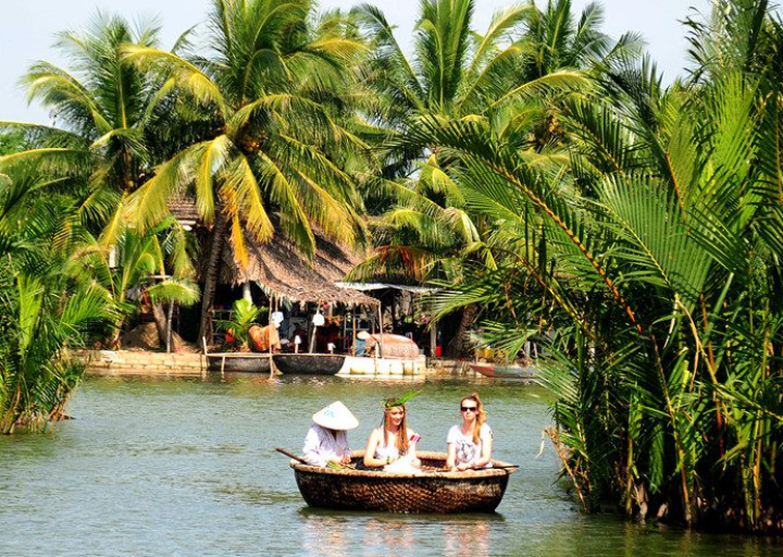 Rừng Dừa Tam Quan