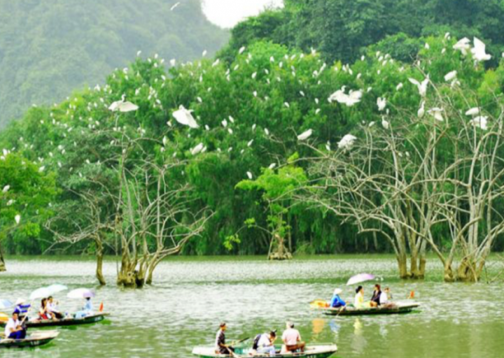 Khu sinh thái Cồn Chim