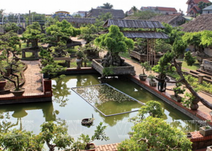 Làng nghề sinh vật cảnh Hồng Vân