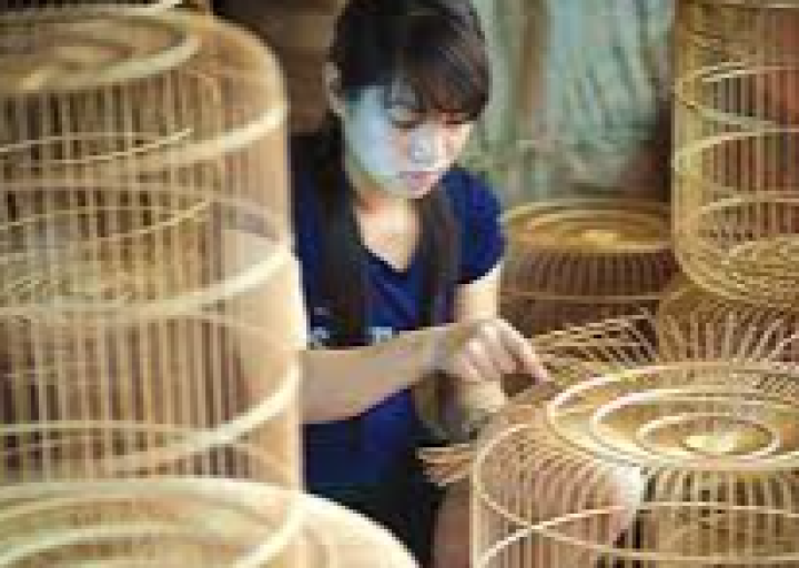Làng nghề làm lồng chim Canh Hoạch
