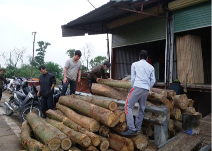 Làng nghề chế biến lâm sản thôn Hạ