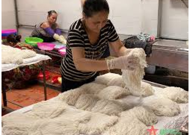 Làng nghề bún Phú Đô