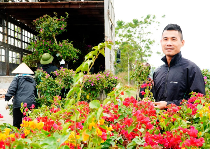 Làng nghề cây cảnh hoa giấy thôn Phù Đổng