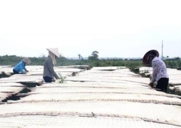Làng nghề chế biến nông sản Cát Quế