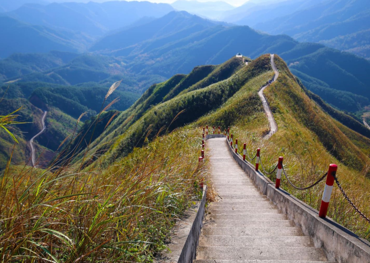 Sống Lưng Khủng Long