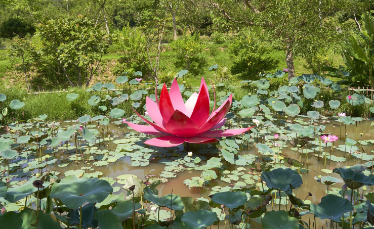 Khu du lịch sinh thái Đại Huệ