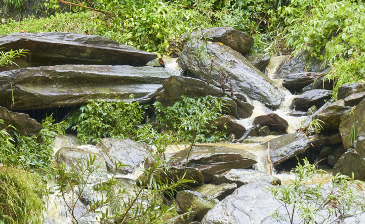 Thác Tiên, Quỳ Hợp