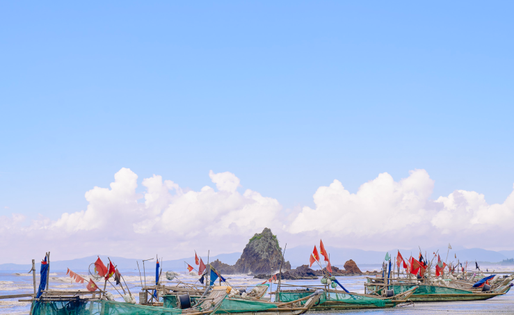 Bãi biển Diễn Hải