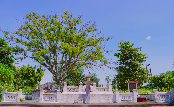 Đình Trung Cần và mộ Tống Tất Thắng