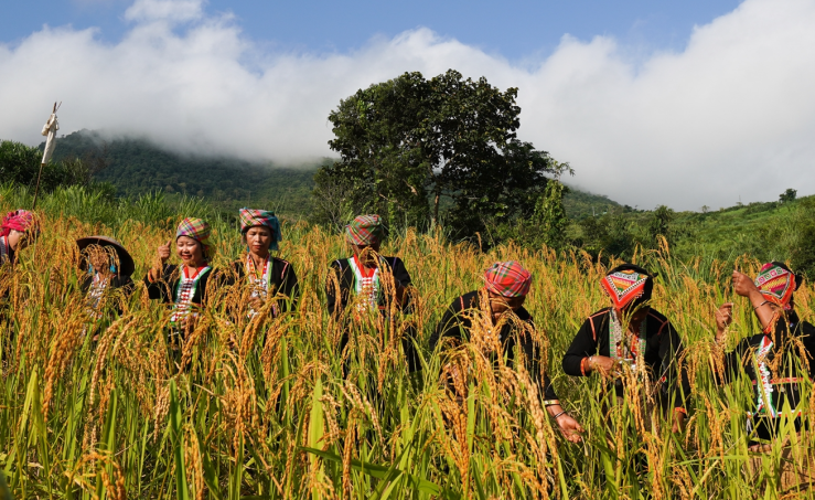 Lễ hội mừng lúa mới