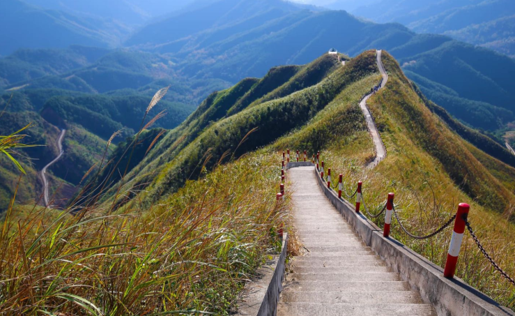 Sống Lưng Khủng Long